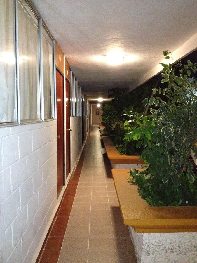 Hotel Safari Tuxtla Gutiérrez Exterior photo